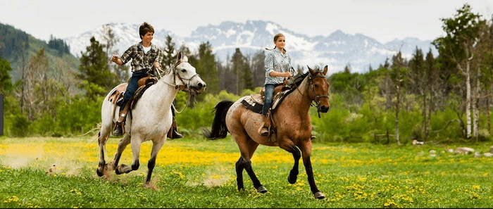 Confident plus-size woman riding Hall Green a horse through a field with a smile on her face.